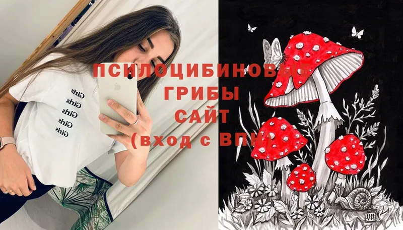 Псилоцибиновые грибы Magic Shrooms  mega вход  Северодвинск 